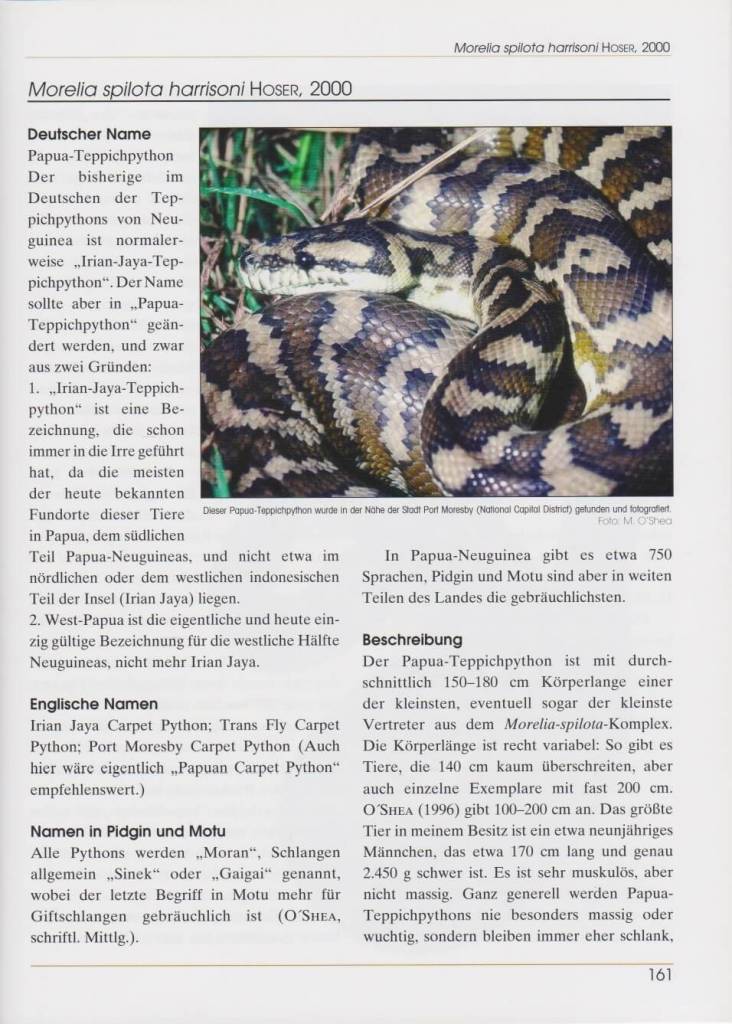 Rautenpythons